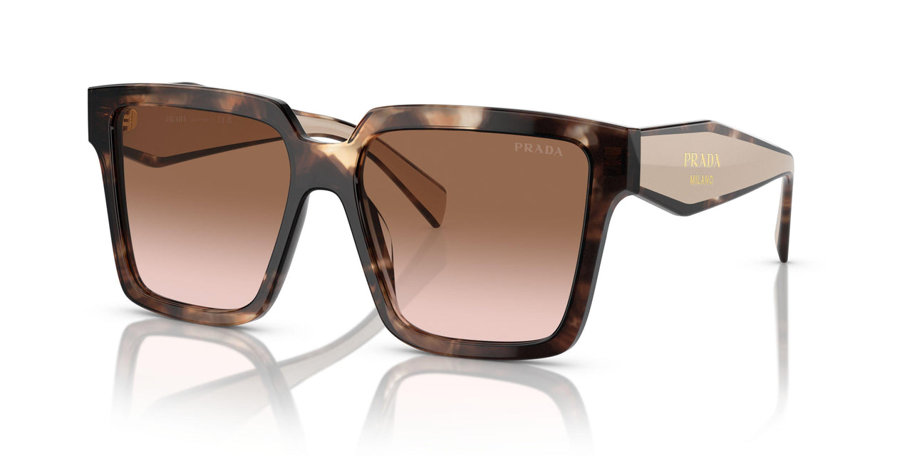 07R0A6 - Tortoise - Brown Gradient