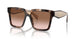 07R0A6 - Tortoise - Brown Gradient