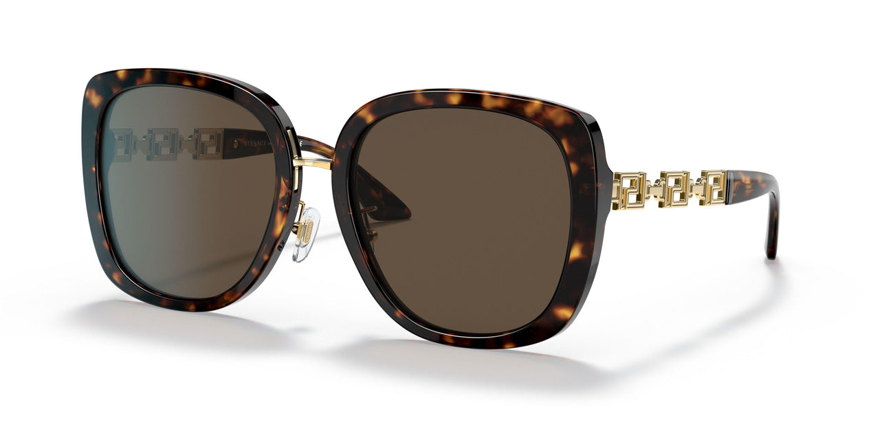 108/73 - Tortoise - Dark Brown