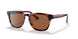 530373 - Havana - Brown