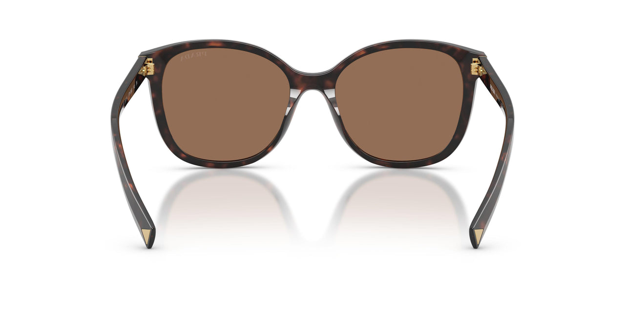 17N06B - Tortoise - Dark Brown