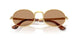 001/53 - Gold - Brown