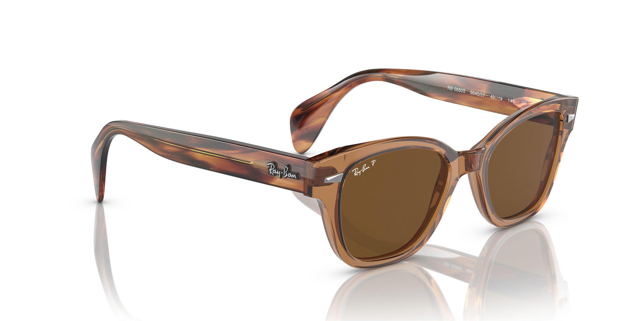 664057 - Brown - Brown Polar