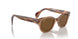 664057 - Brown - Brown Polar