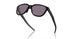 925001 - Black - Prizm Grey