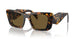VAU01T - Tortoise - Dark Brown