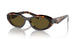 14L09Z - Green - Dark Brown