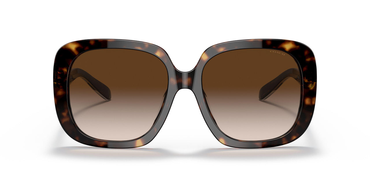 51203B - Havana - Brown Gradient