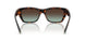 80155D - Tortoise - Azure Gradient Brown