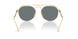 313/80 - Gold - Blue