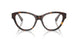 3002 - Brown