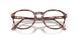 1209 - Red - Clear
