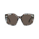 55E - Shiny Acqua Grey Havana - Dark Brown