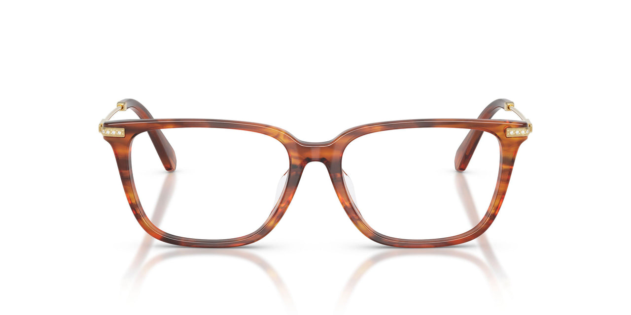 1091 - Brown