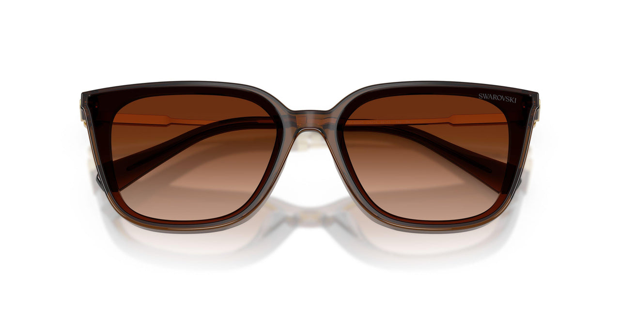 108474 - Brown - Gradient Brown