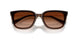 108474 - Brown - Gradient Brown