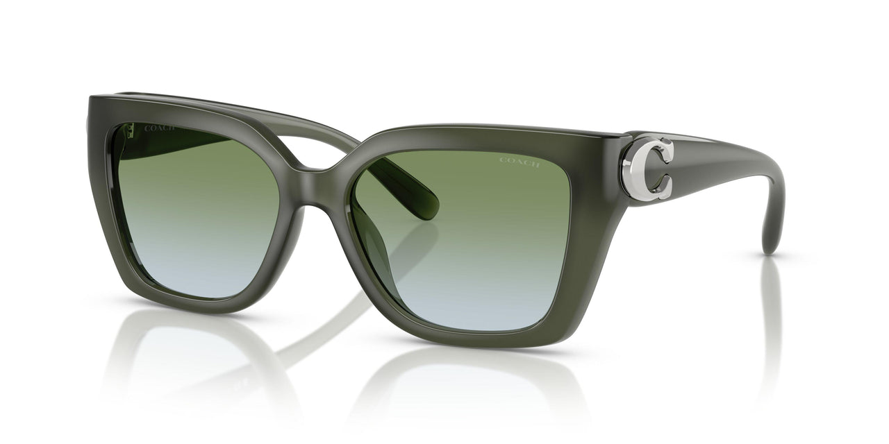 584017 - Green - Moss Aqua Gradient