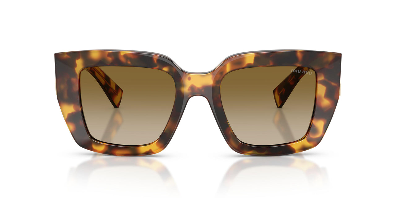 14L20U - Tortoise - Brown Gradient