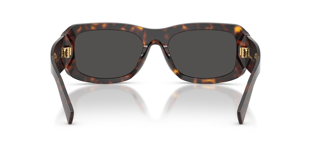 502/87 - Tortoise - Dark Grey