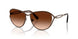 400274 - Brown - Brown Gradient