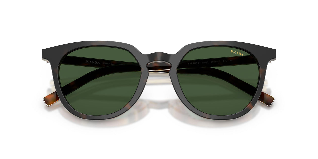 20P40P - Tortoise - Green