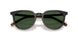 20P40P - Tortoise - Green
