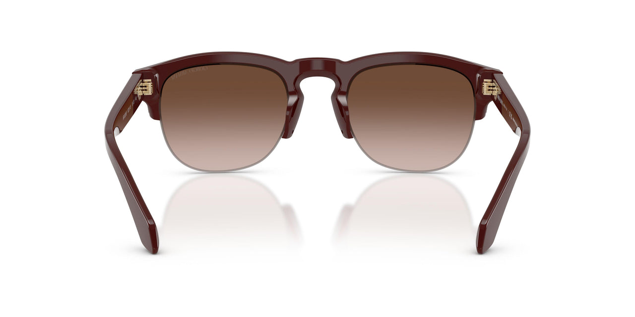 622113 - Red - Gradient Brown