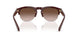 622113 - Red - Gradient Brown