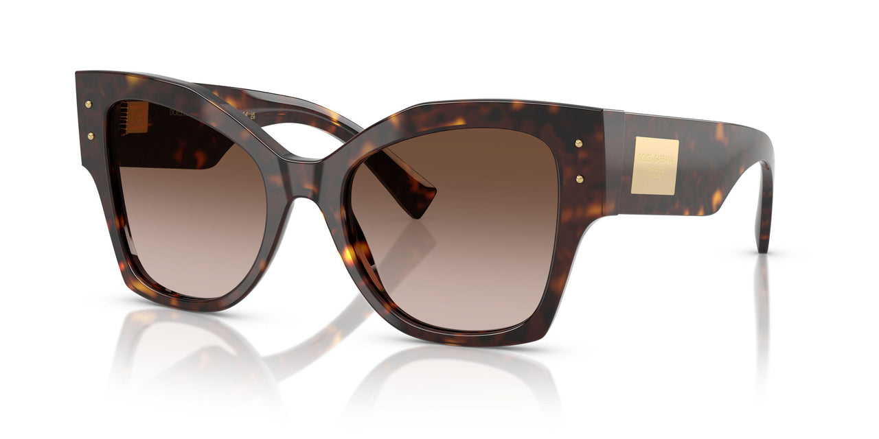 502/13 - Tortoise - Gradient Brown