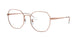 Ray-Ban 6482D Eyeglasses