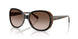 504913 - Black - Brown Gradient