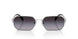 1BC90A - Silver - Grey Gradient