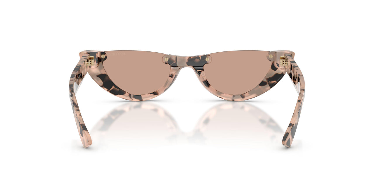 508073 - Tortoise - Brown