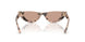 508073 - Tortoise - Brown