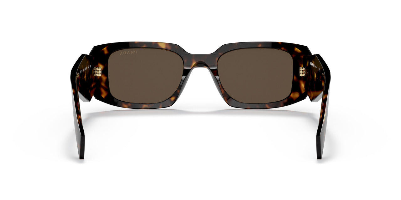 2AU8C1 - Havana - Brown