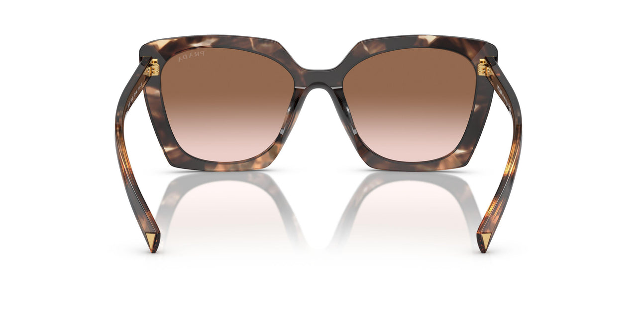 07R0A6 - Tortoise - Brown Gradient