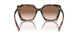 07R0A6 - Tortoise - Brown Gradient