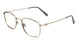 Flexon H6042 Eyeglasses