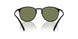 50012A - Black - Green