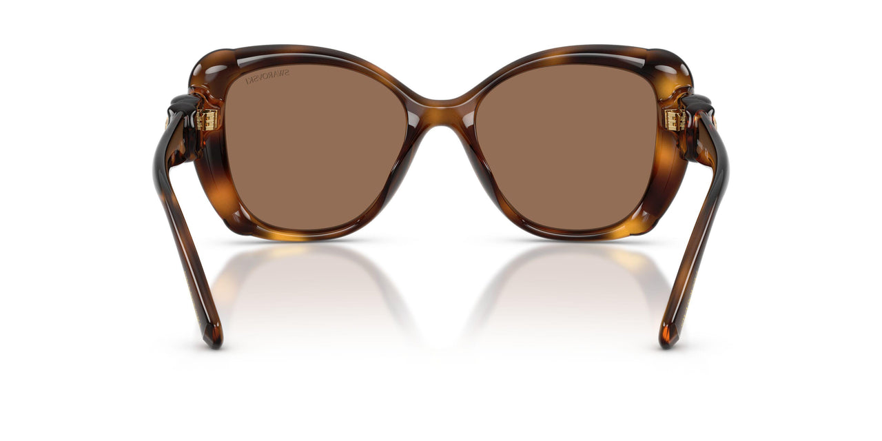 100273 - Tortoise - Dark Brown