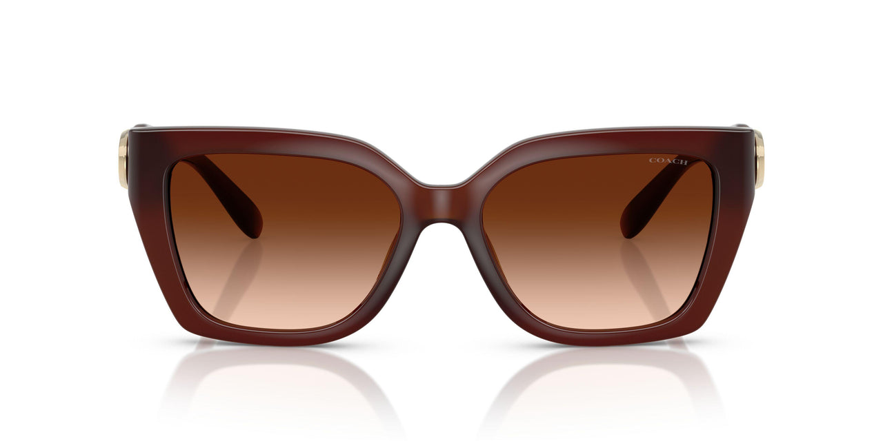 584174 - Brown - Brown Gradient