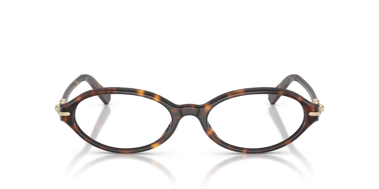 8015 - Tortoise