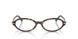 8015 - Tortoise