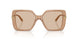 507693 - Brown - Light Brown