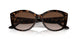 300613 - Havana - Brown Gradient