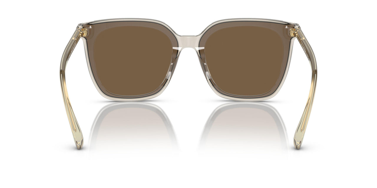 299873 - Brown - Dark Brown