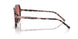 3476A5 - Tortoise - Pink Gradient Red