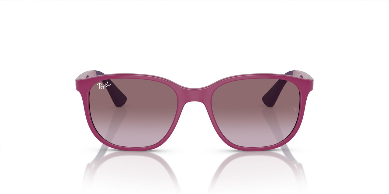 71498H - Fuchsia On Violet - Violet