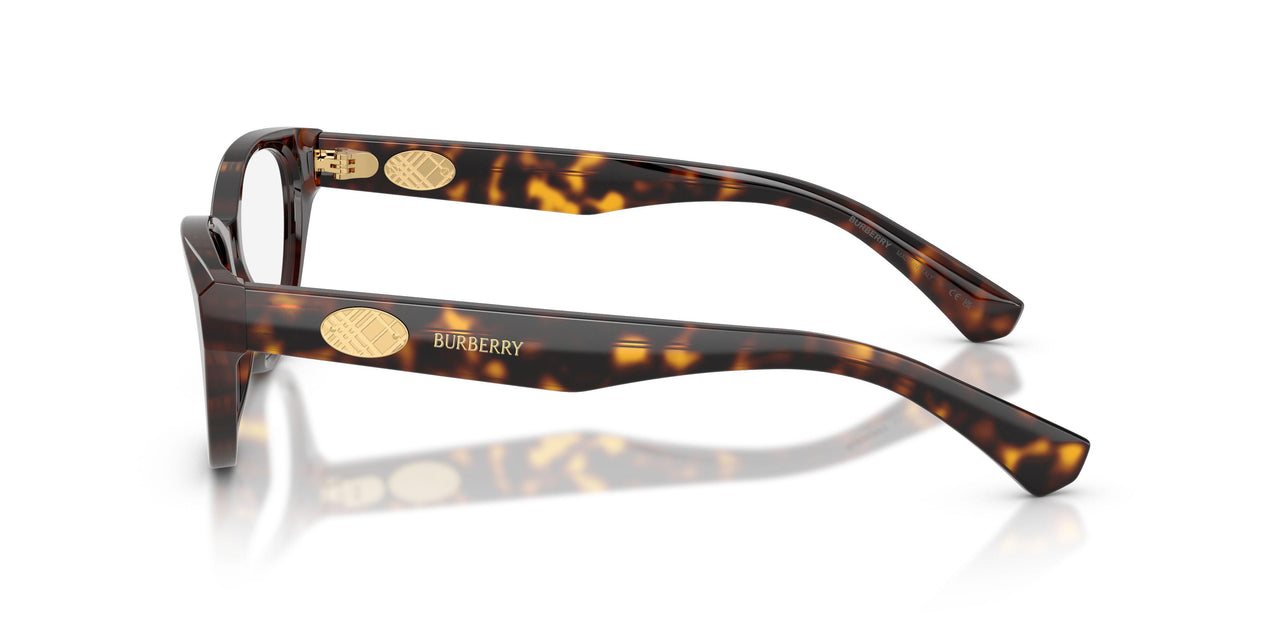 3002 - Brown