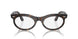 902/GI - Tortoise - Clear/brown